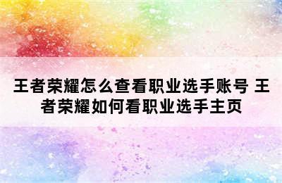 王者荣耀怎么查看职业选手账号 王者荣耀如何看职业选手主页